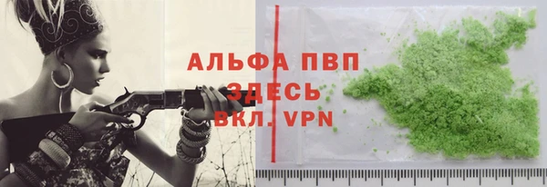 прущие грибы Беломорск